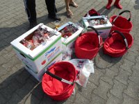 DSCN8824